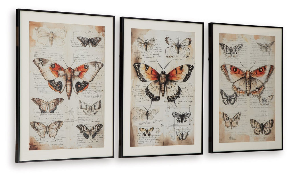 Jossletts - Wall Art Set (Set of 3) - Orange / Black / Ivory