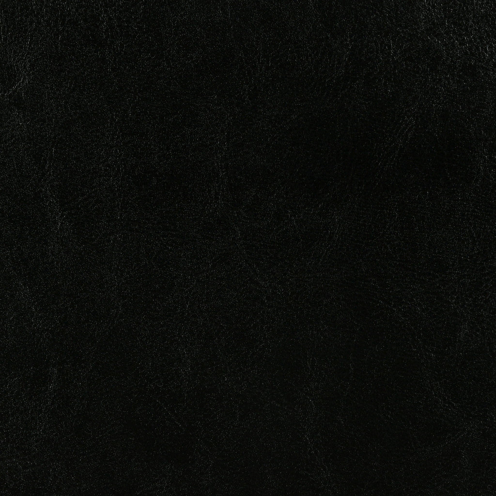 Dorian Faux Leather Upholstered Twin Panel Bed Black