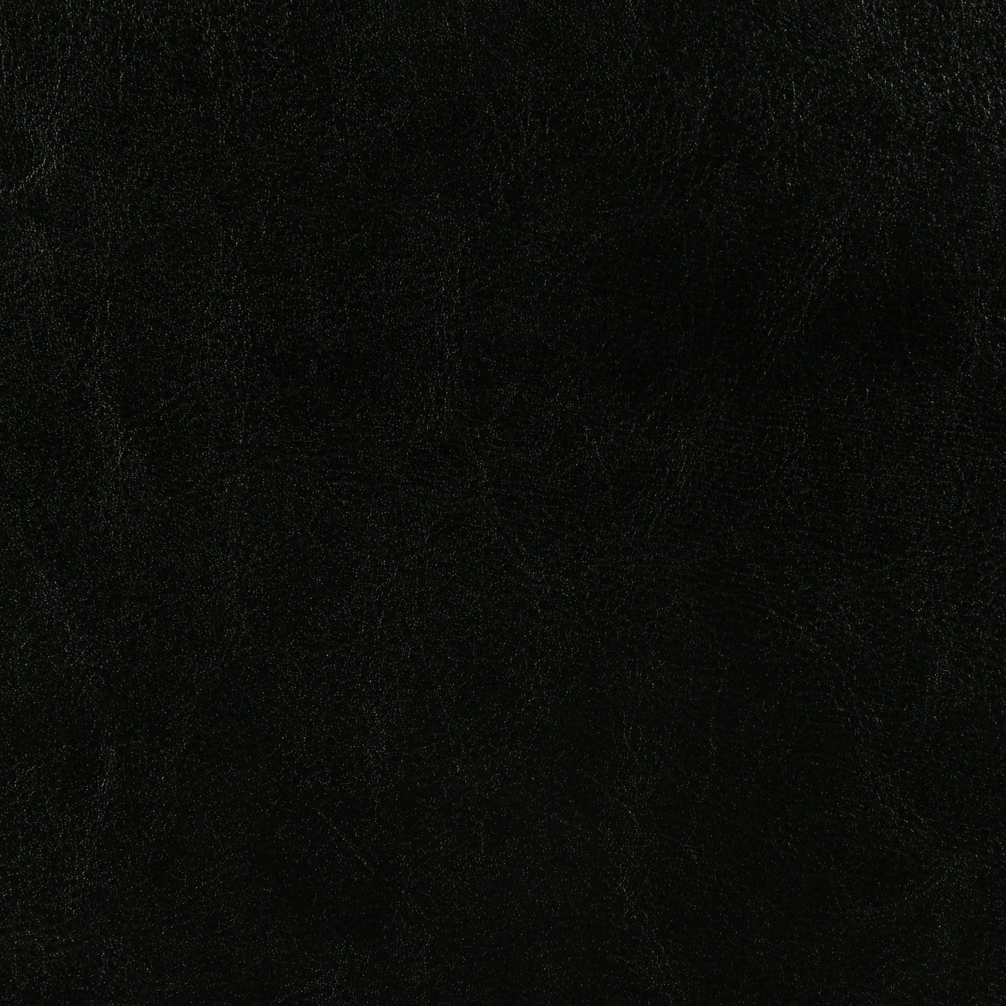 Dorian Faux Leather Upholstered Twin Panel Bed Black