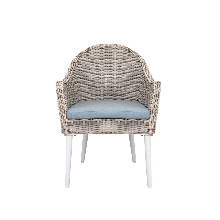 Allux 7-Piece Wicker Dining Set