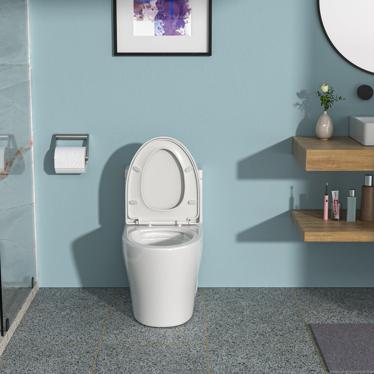 1 Piece Toilet, Dual Flush, Soft Closing Seat - White