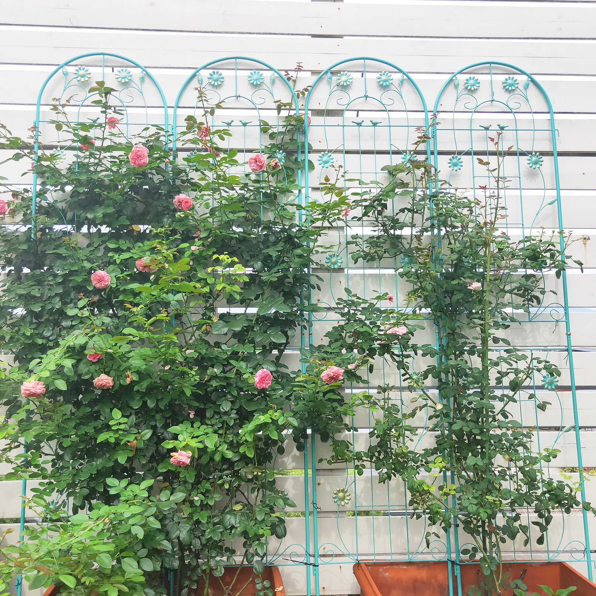 Metal Garden Trellis Rustproof Trellis For Climbing Plant Outdoor Flower Support