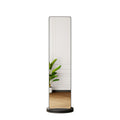 3 In 1 Multifunctional Full Length Clothing Mirror