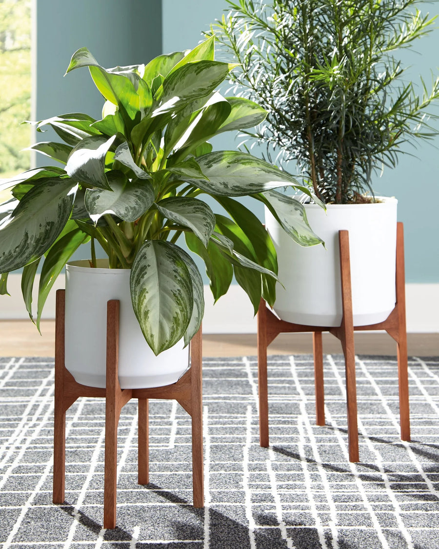 Planter & Vases